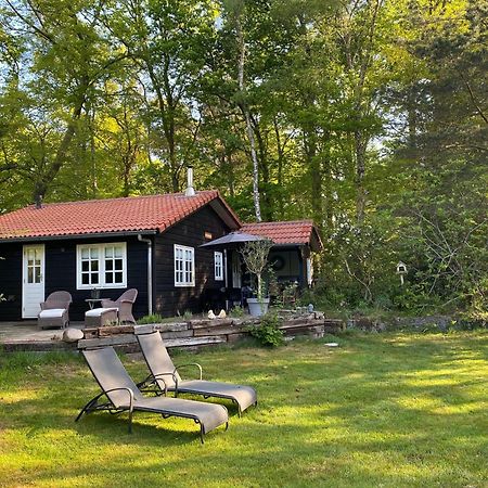 De Springop Villa Eefde Eksteriør billede